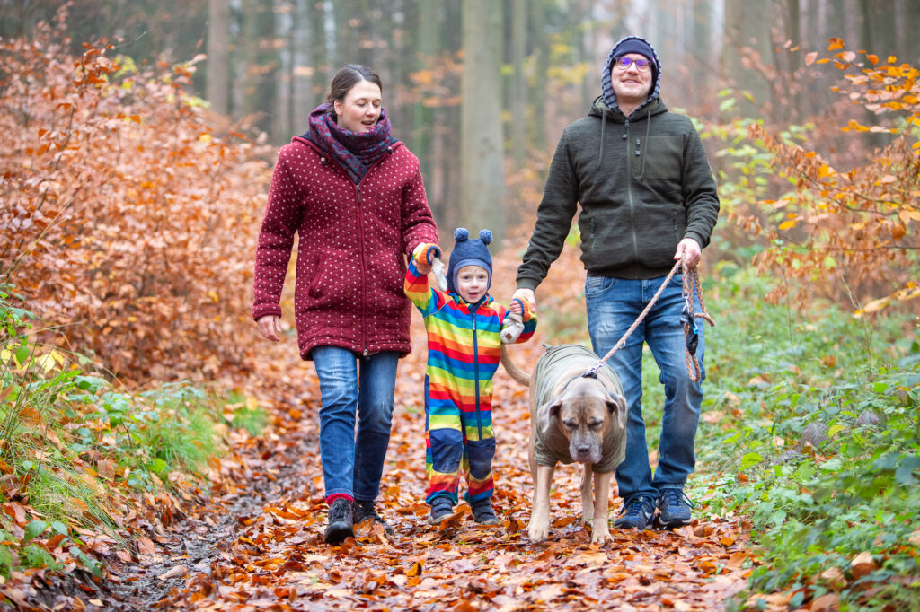 Familie (Mutter, Vater, Kind, Hund) spaziert durch einen herbstlichen Wald